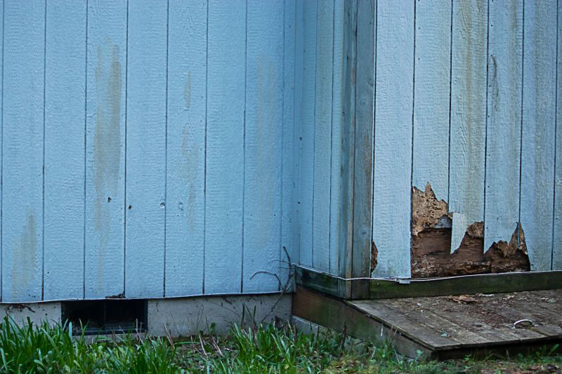 Siding Repair Close-Up