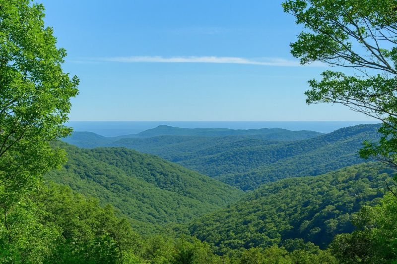 Best Siding Replacement pros in Hillsborough, NC